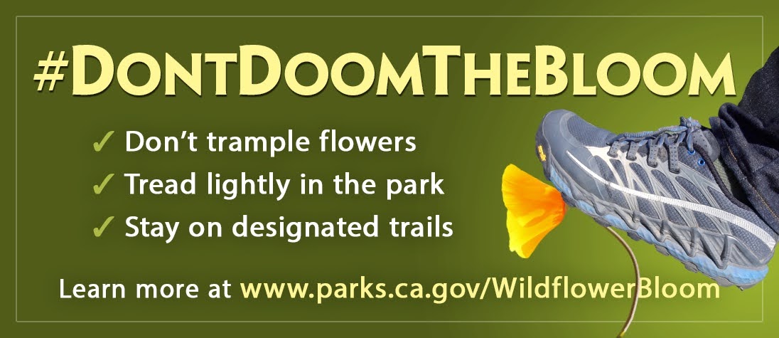 Dont Doom the Bloom